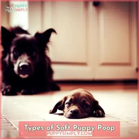 puppy poop soft all tests negative|Soft Puppy Poop: Causes, Treatment, Prevention.